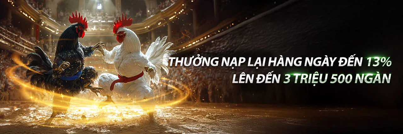 Hình ảnh giới thiệu QH888 Code - Nền tảng cá cược hàng đầu Việt Nam